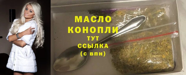 молекула духа Бердск
