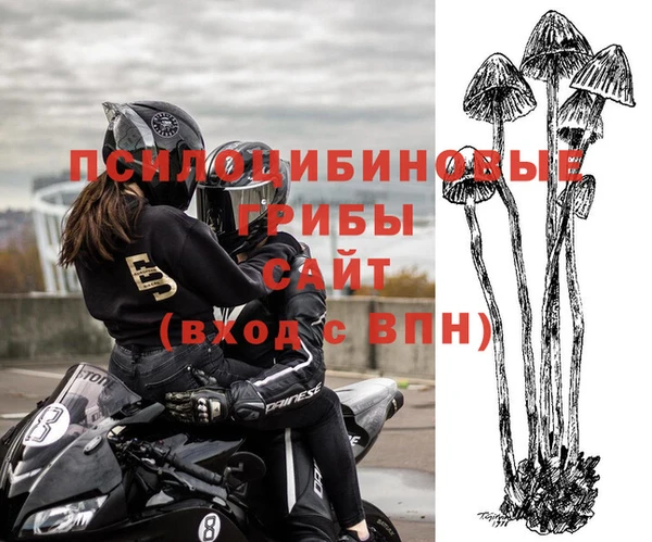 трава Абдулино