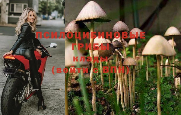 спайс Абаза