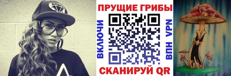 kraken tor  Абаза  Псилоцибиновые грибы мицелий 